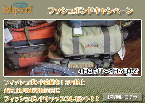 フィッシュポンドキャンペーン