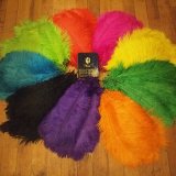 オーストリッチ９色が入荷致しました。