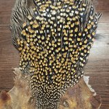 マテリアル　ジャングルコック、ストリーマーシープヘアーが入荷致しました。