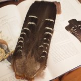 コンプリートマテリアルが入荷致しました。