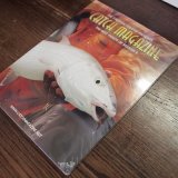 DVD キャッチマガジンの新作入荷致しました。