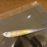 【スギサカ】ドライワカサギが再入荷致しました。