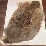 マテリアル（パートリッジコンプリート）が入荷致しました。