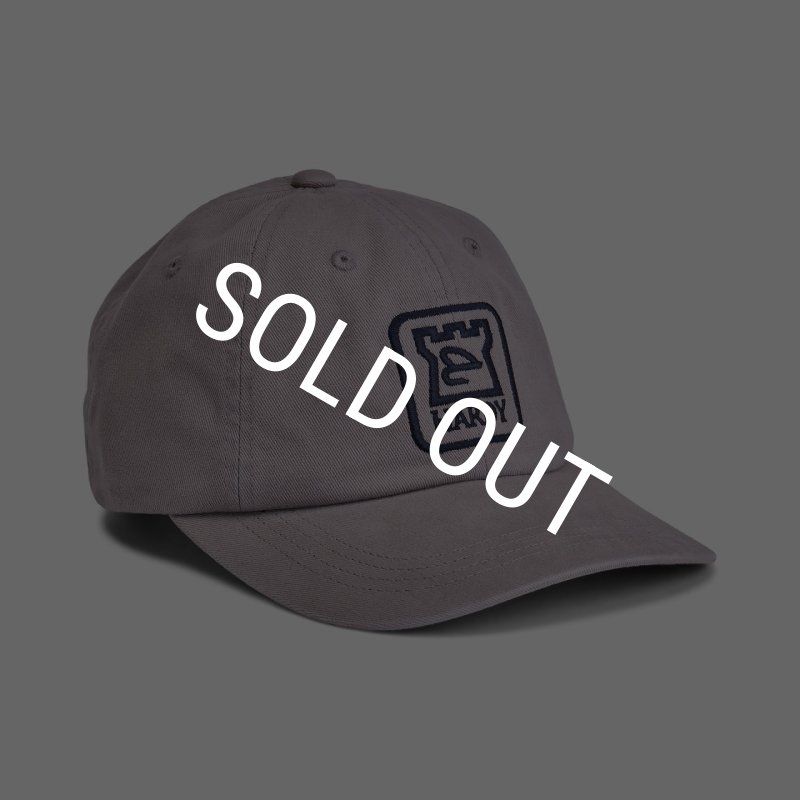 画像5: HARDY Brandmark Performance Dad Hat (5)
