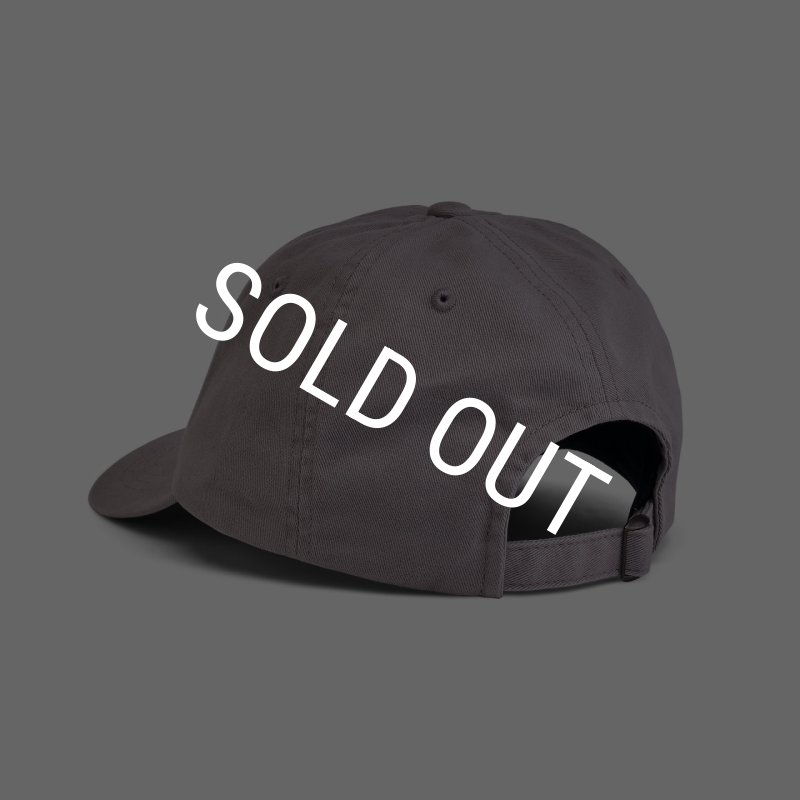 画像6: HARDY Brandmark Performance Dad Hat (6)