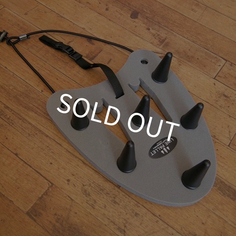 画像1: 【C&F】340 ラインパレット・ミニ (1)