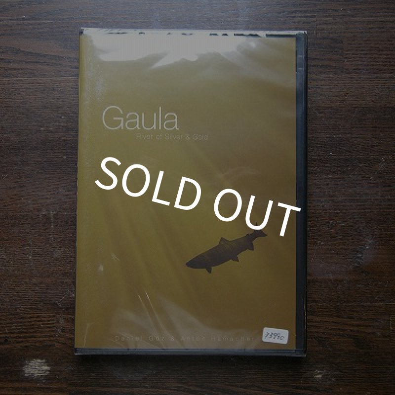 画像1: 【DVD】Gaula River of Silver&Gold (1)