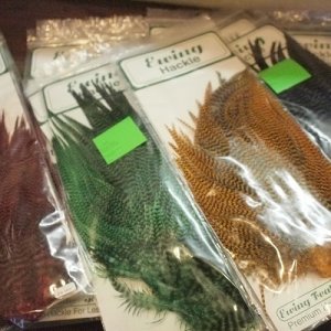 画像1: 【Ewing】 Premium hackle Grizzly Rooster