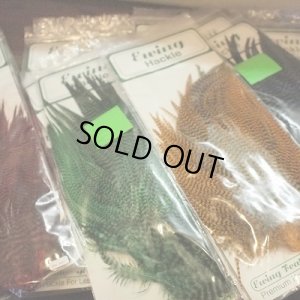 画像1: 【Ewing】 Premium hackle Grizzly Rooster