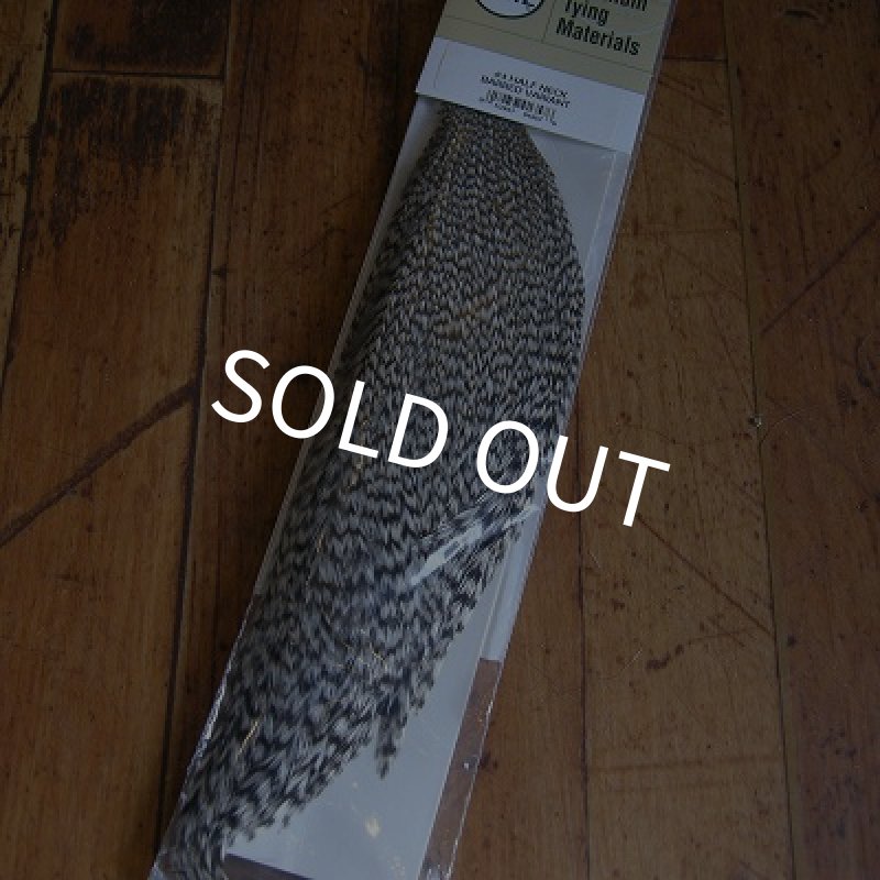 画像1: 【METZ】COCKNECK BARED VARIANT #3  1/2 (1)