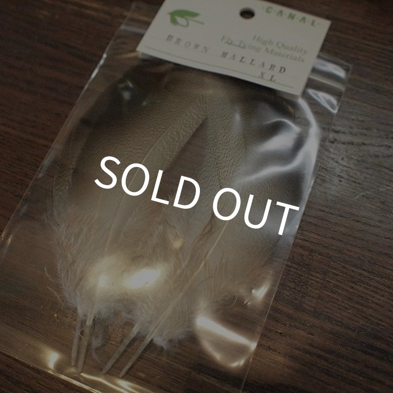 画像1: 【CANAL】BROWN　MALLARD　ＸＬ (1)