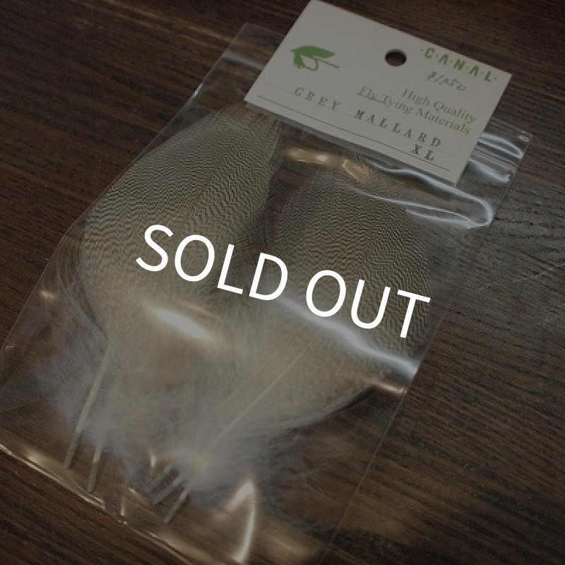 画像1: 【CANAL】 GREY　MALLARD　XL (1)