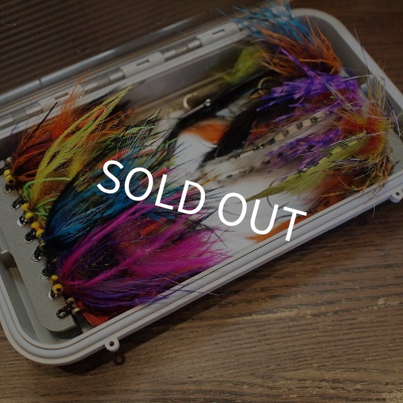 画像1: 【C&F】CF-3299CT マグネティックWPフライケース(L)  (1)