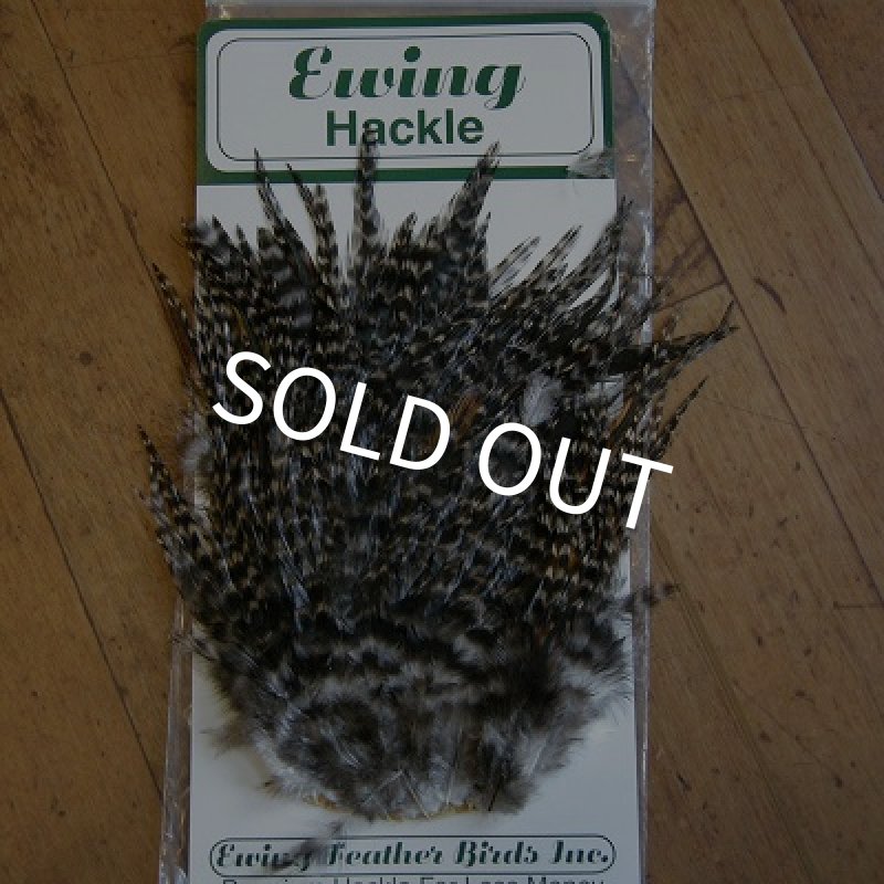 画像1: 【Ewing】SaltWater Cock Saddle No.2Grade  (1)