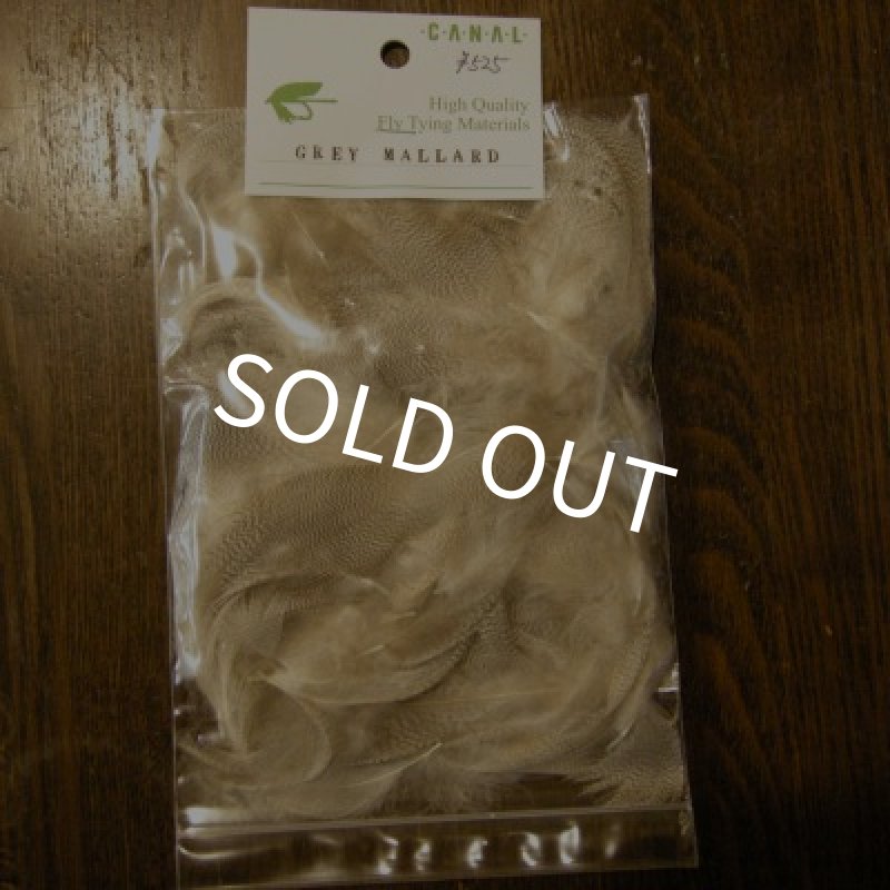 画像1: 【CANAL】GREY MALLARD (1)