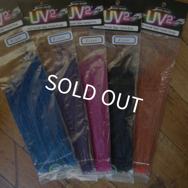 画像1: 【Spirit River】 UV2 Intruder Spey Hackle (1)