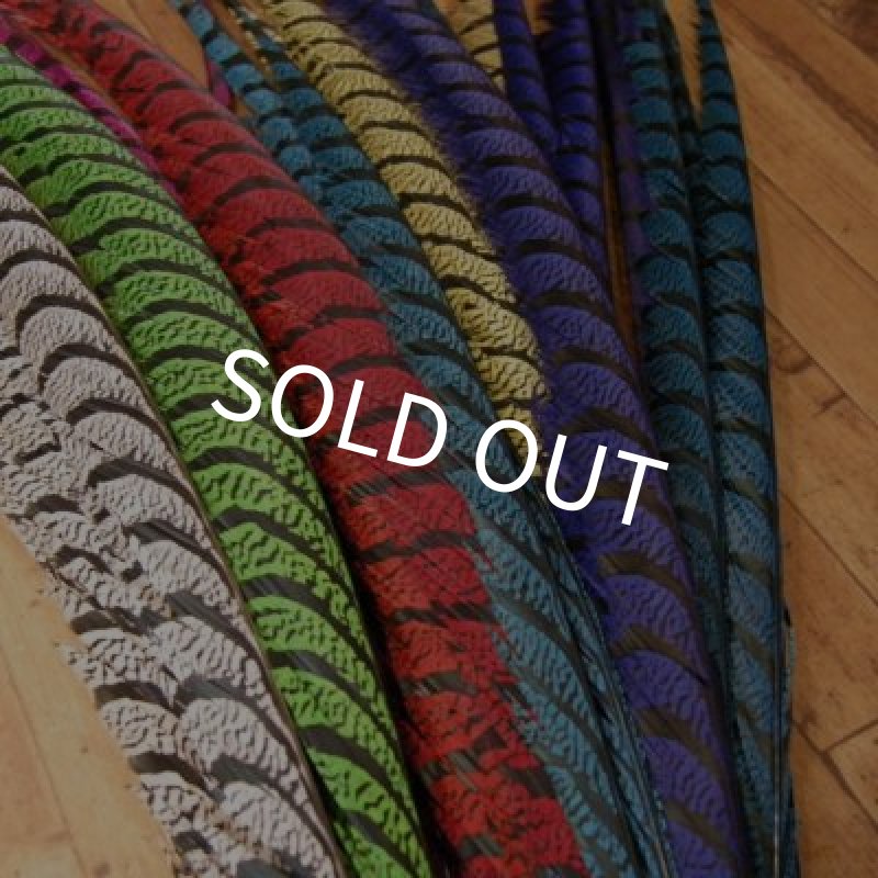 画像1: AMHERST TAIL アムハーストテイル (1)