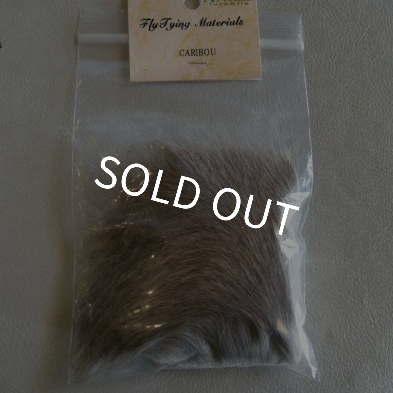 画像1: 【ANGLE】カリブー  (1)