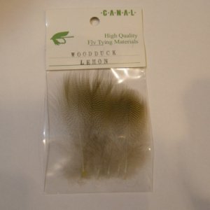 画像1: 【CANAL】 Lemon Wood Duck