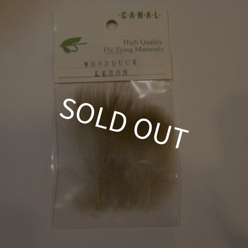 画像1: 【CANAL】 Lemon Wood Duck (1)