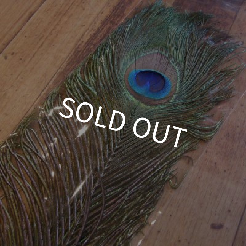 画像1: 【CANAL】 Peacock Eye Super (1)