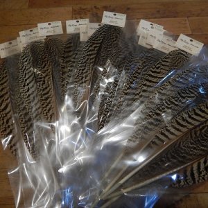 画像1: 【ANGLE】 PEACOCK QUILLS AAAグレード