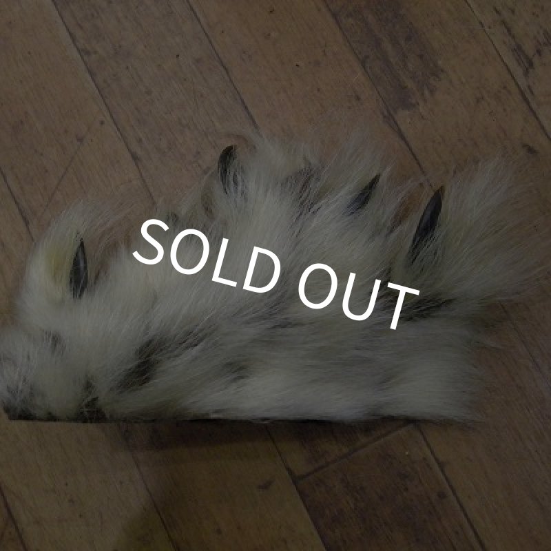 画像1: ポーラーベア　前足（爪付）A-1 (1)