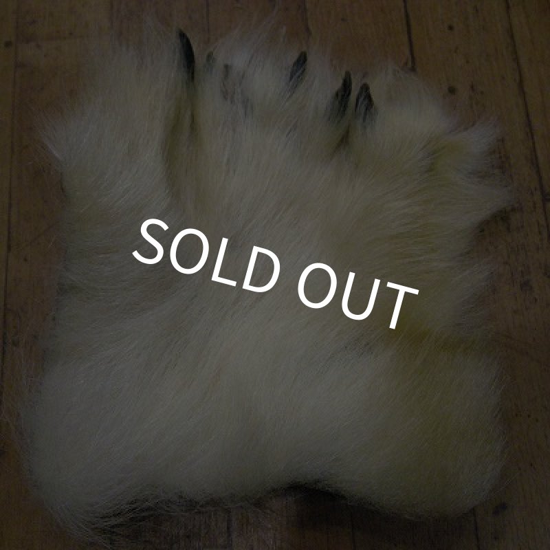 画像1: ポーラーベア　後足（爪付）R-2 (1)