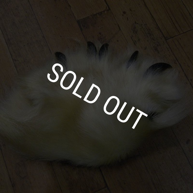 画像1: ポーラーベア　前足（爪付）AA-1 (1)