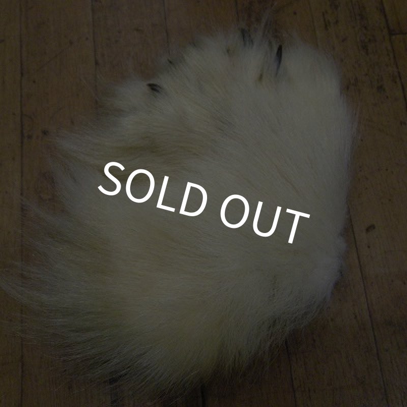 画像1: ポーラーベア　後足（爪付）R-3 (1)