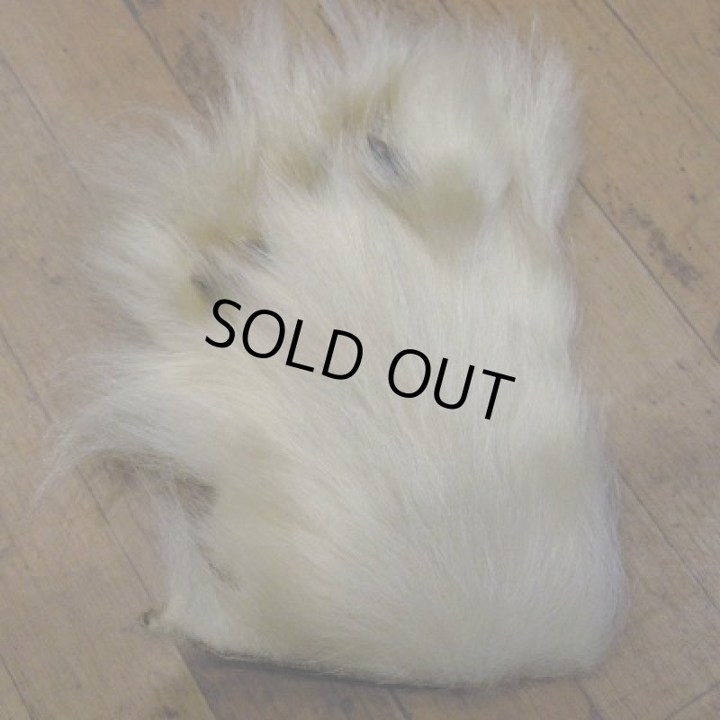 画像1: ポーラーベア　後足（爪付）R-1 (1)