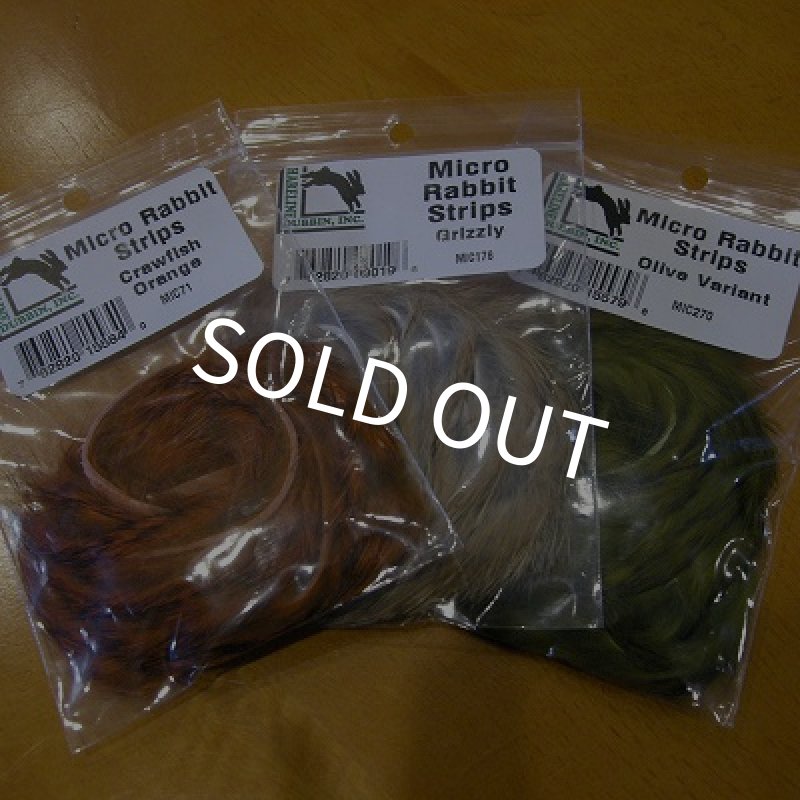 画像1: 【HARELINE】 Micro Rabiit Strips (1)