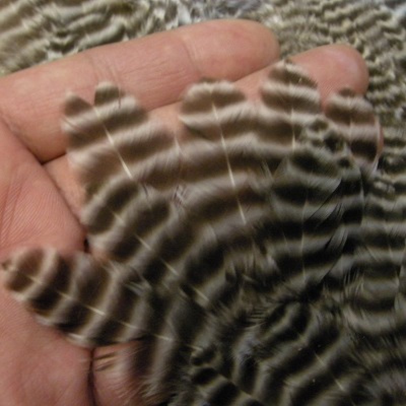 画像1: 【ANGLE】 Grizzly Body Marabou Patch