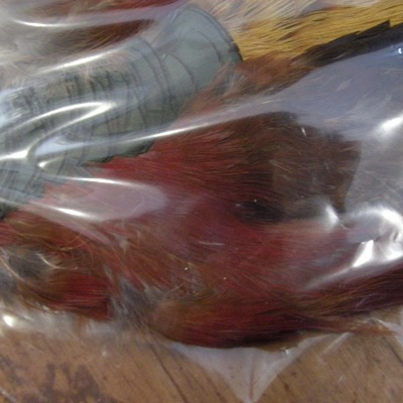 画像1: 【ANGLE】 Golden Pheasant Body Skin