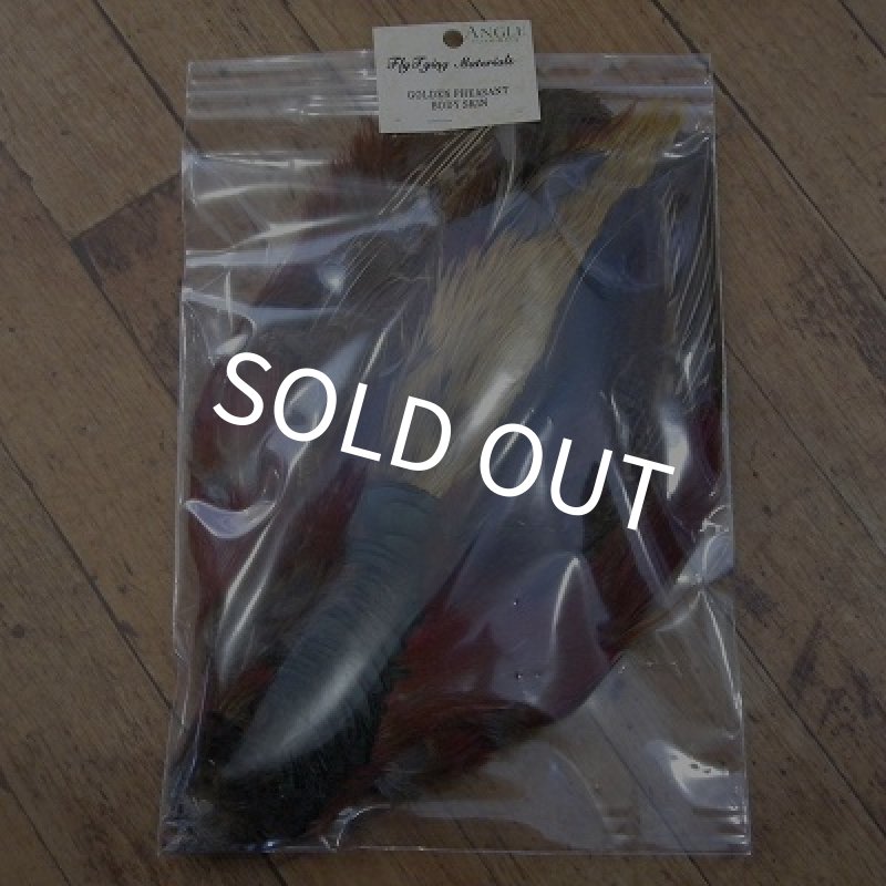 画像1: 【ANGLE】 Golden Pheasant Body Skin (1)