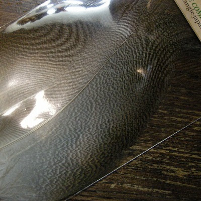 画像2: 【ANGLE】 Bronze Mallard EXT Large