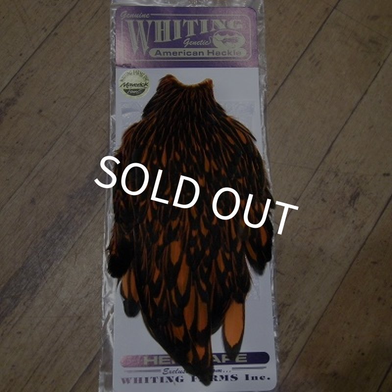 画像1: 【WHITING】 American Hackle Hen Cape BLW/Orange (1)