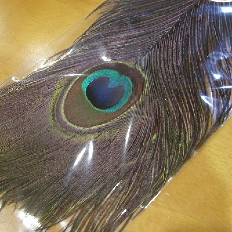 画像1: 【CANAL】 PEACOCK EYE RED