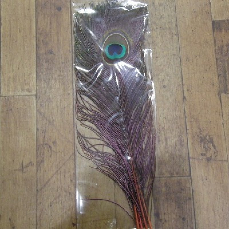 画像1: 【CANAL】 PEACOCK EYE RED (1)