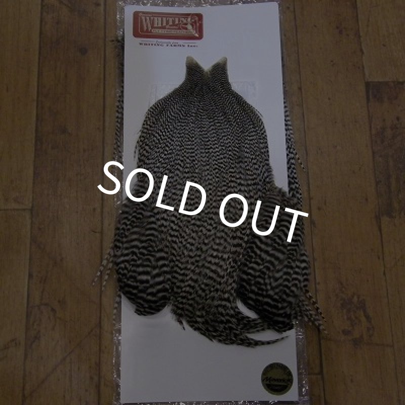 画像1: 【WHITING】 Bantam Rooster Set Grizzly (1)