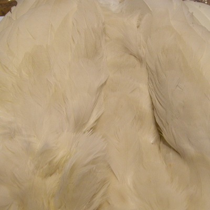 画像2: 【CANAL】 WHITE PEAHEN コンプリート