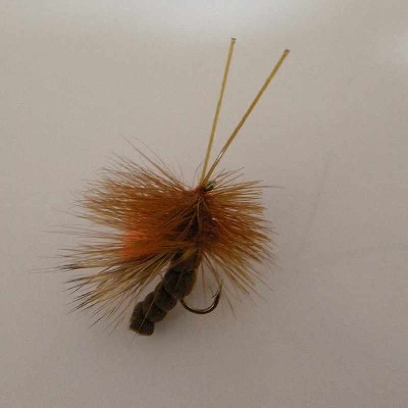 画像2: 【完成品フライ】 フルッタリング ストーン ブラウン