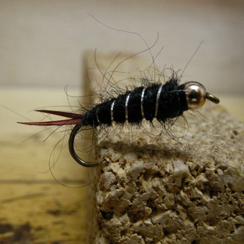 画像1: 【完成品フライ】 ビーズヘッド・ブラックニンフ (1)