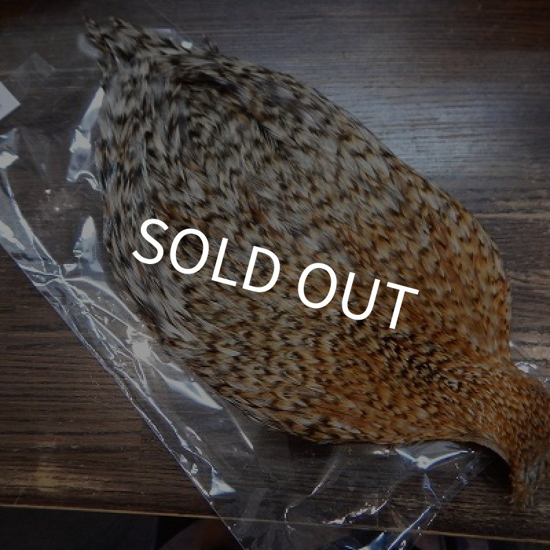 画像1: 【CANAL】　チャニーズケープ　ハニーグリズリー　H3 (1)