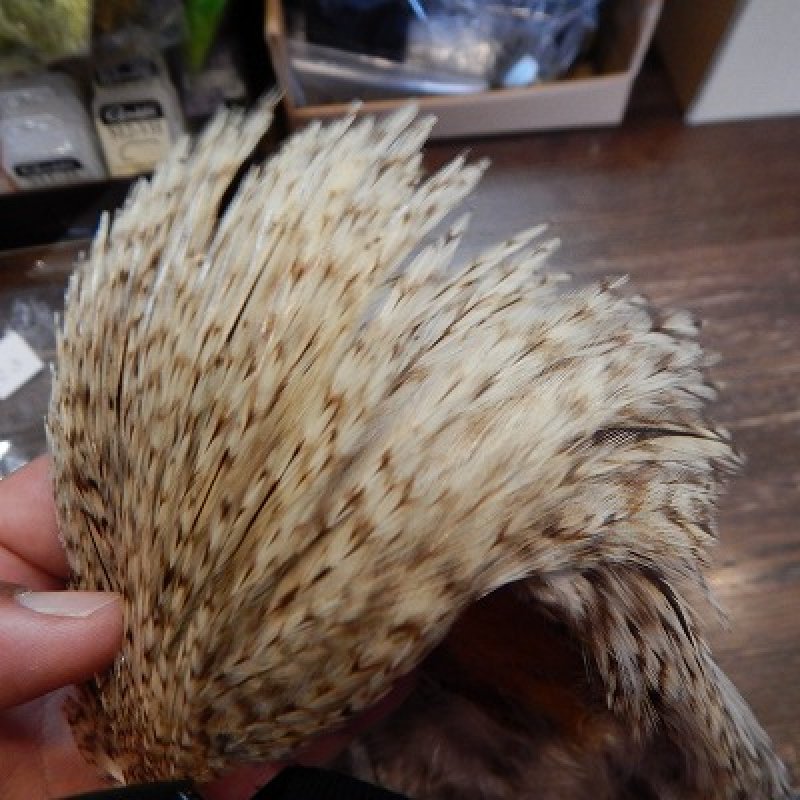 画像2: 【CANAL】　チャニーズケープ　クリー　C3