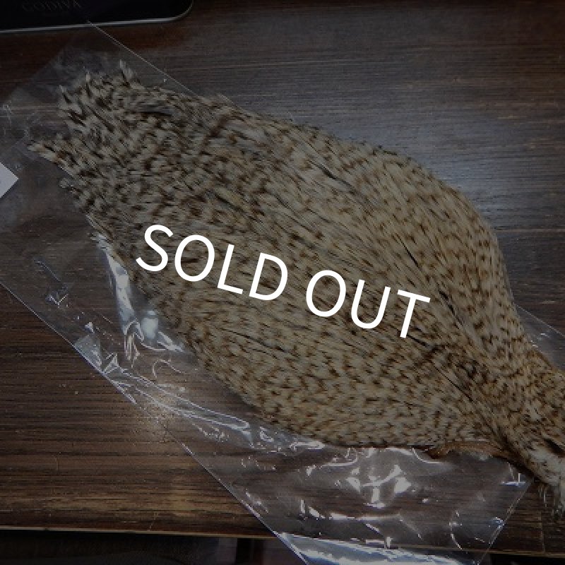 画像1: 【CANAL】　チャニーズケープ　クリー　C3 (1)