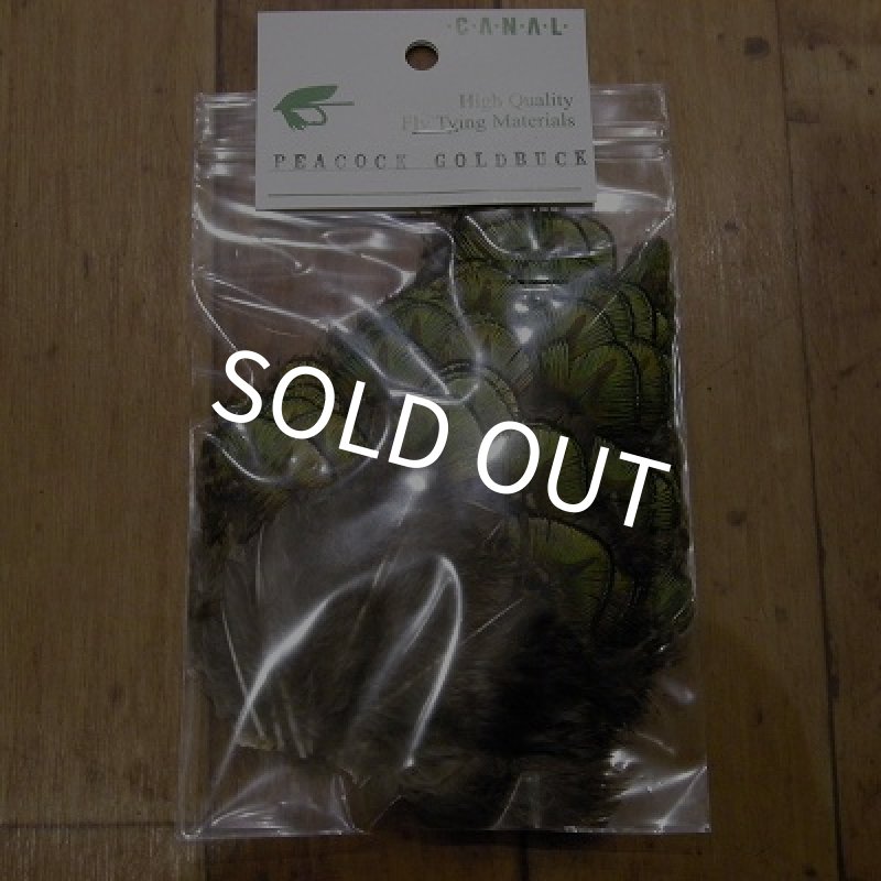 画像1: 【CANAL】 Peacock Goldbuck (1)