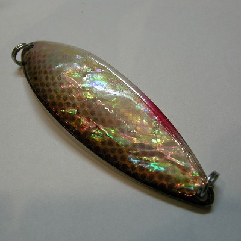 画像3: 【ssylabel】 アドロワ モーダ あわび 13g