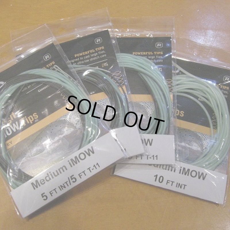 画像1: 【RIO】 InTouch Skagit Medium iMow Tip (1)