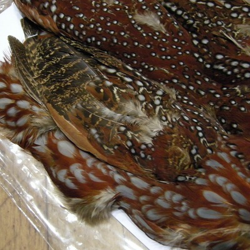 画像2: 【CANAL】 テネミクス タゴパン コンプリートNo.2